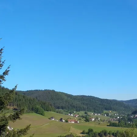 Schwarzwaldstuebchen 