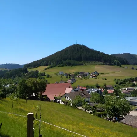 Appartement Schwarzwaldstuebchen 